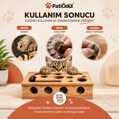 PatiÖdül™ Kedi Tırnak Törpüleme & Oyun Kutusu